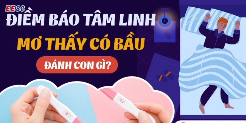 Những rủi ro khi đánh lô đề cho nằm mơ thấy có bầu